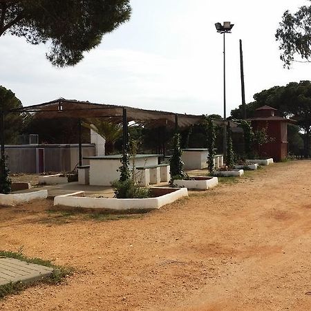 Albergue Rural Territorio Del Gato 엘롬피도 외부 사진