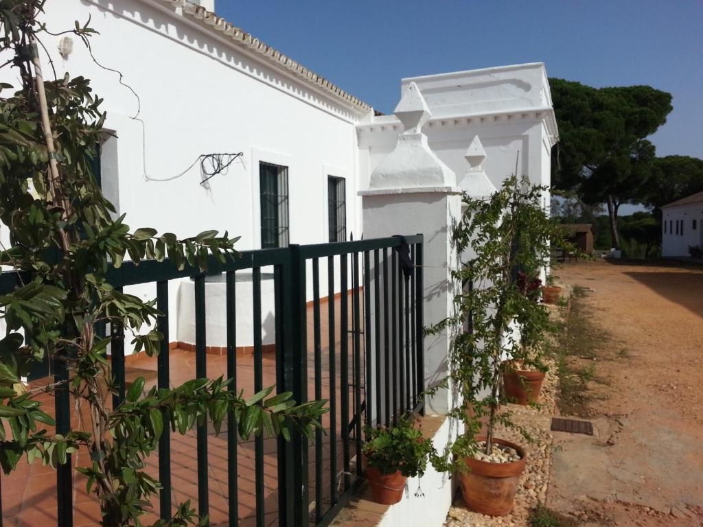 Albergue Rural Territorio Del Gato 엘롬피도 외부 사진