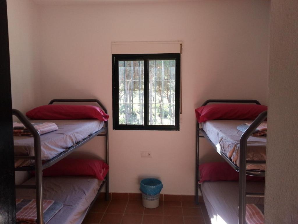 Albergue Rural Territorio Del Gato 엘롬피도 객실 사진